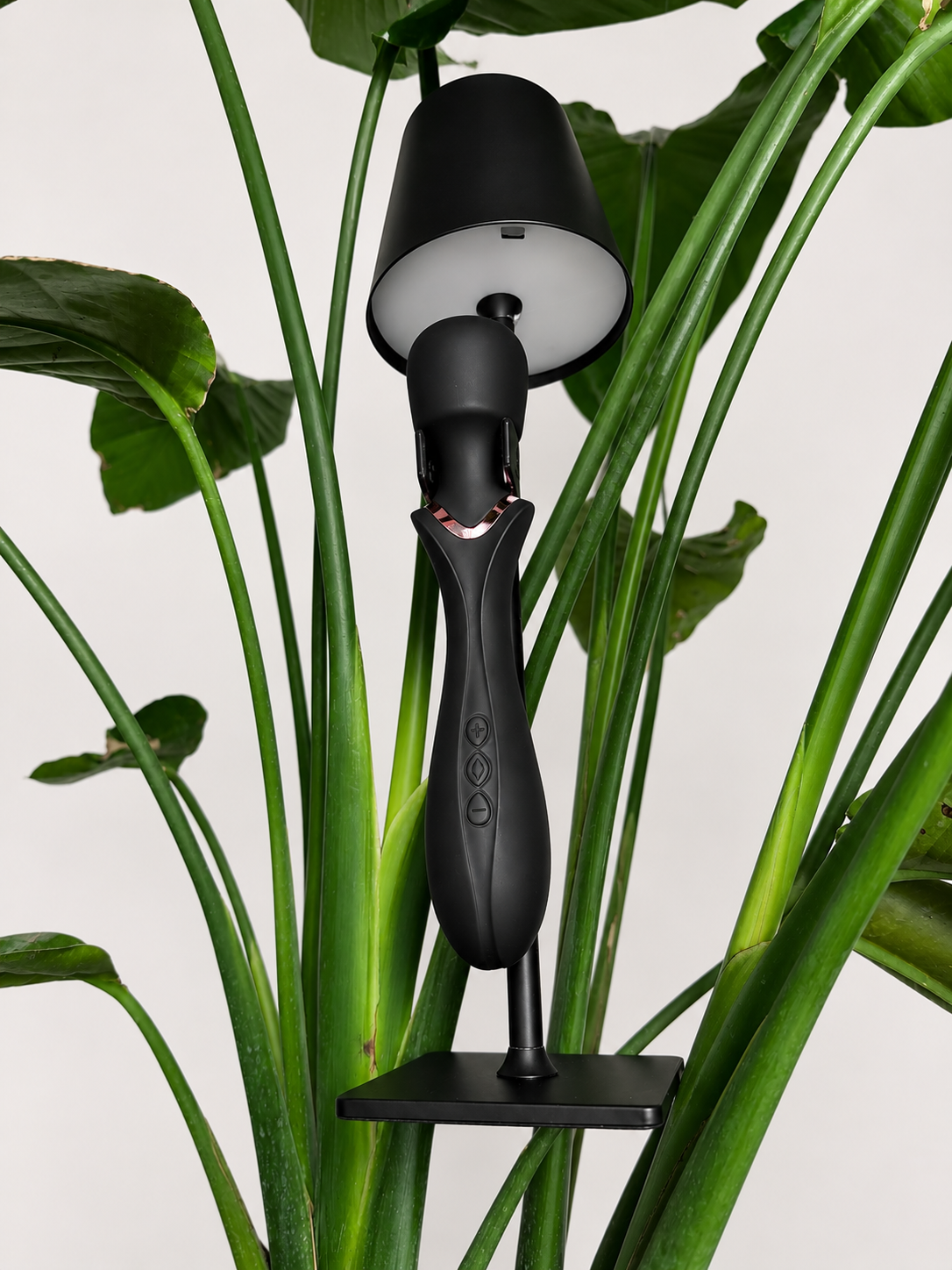 ATENA LAMP